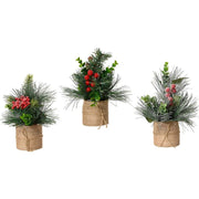 Plante décorative Everlands Noël 20 x 15 cm (3 Unités)