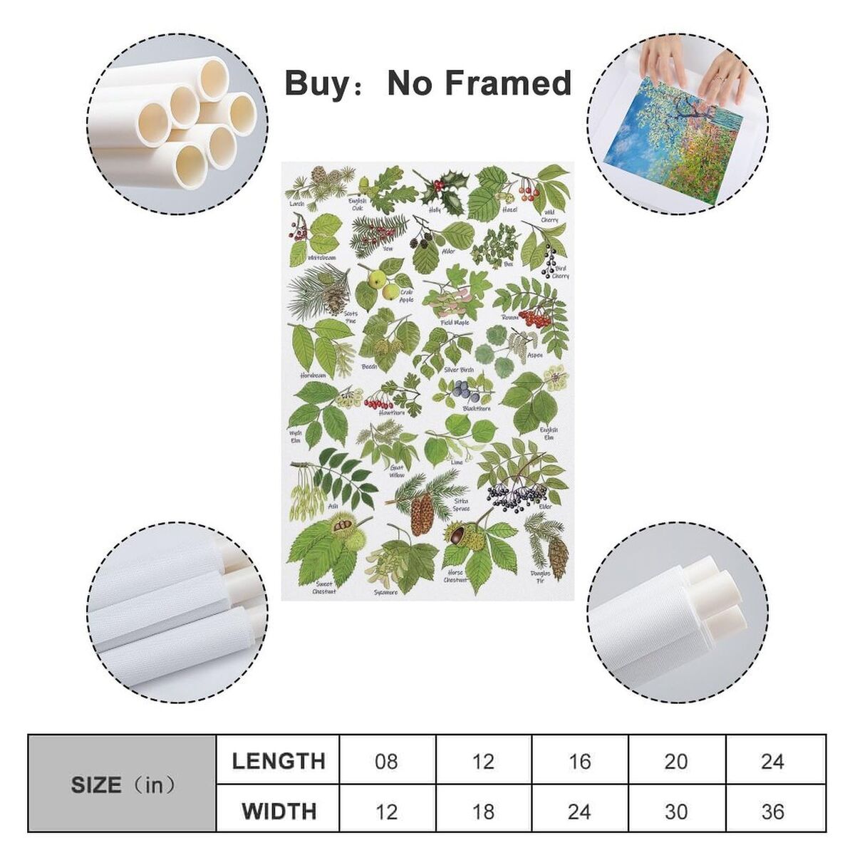 Écran Samsung LS24F320GAUXEN Full HD 24"