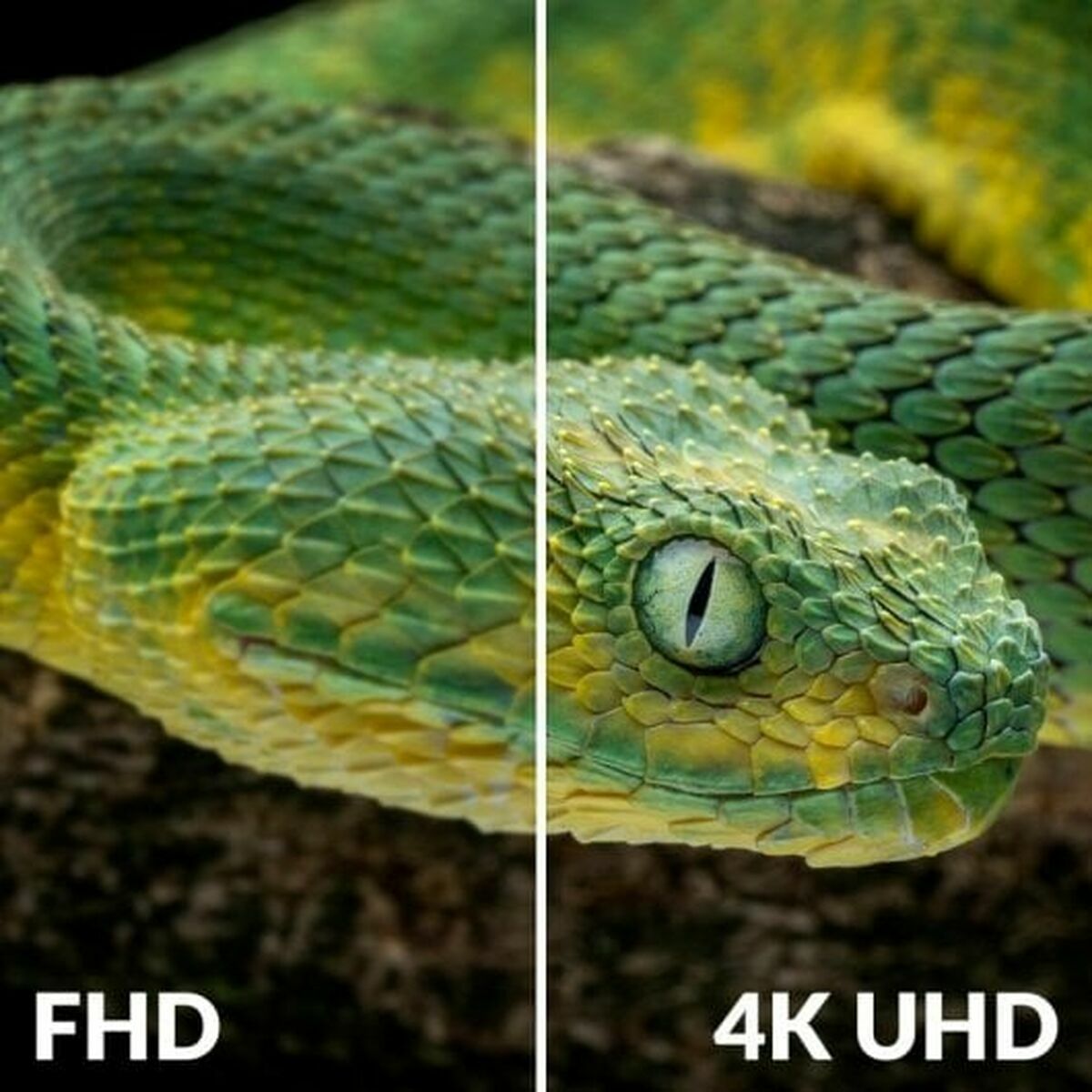 Récepteur TNT STRONG SRT 8250