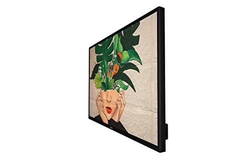 Philips 32 D-Line FHD 24/7