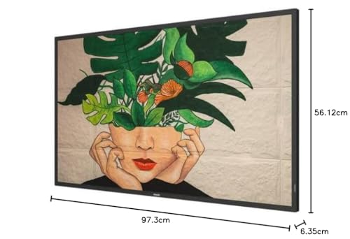 Philips 43 D-Line 4K 24/7