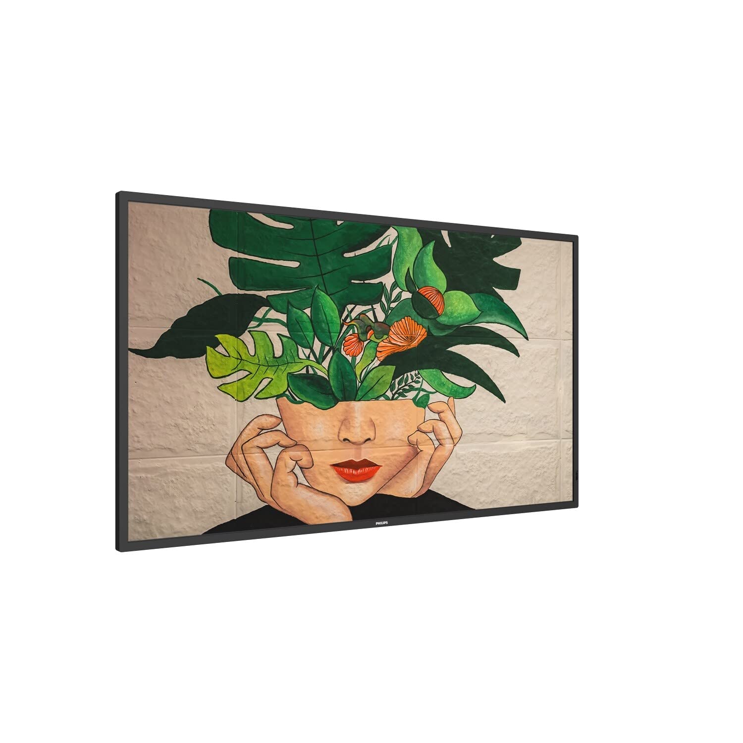 Philips 43 D-Line 4K 24/7