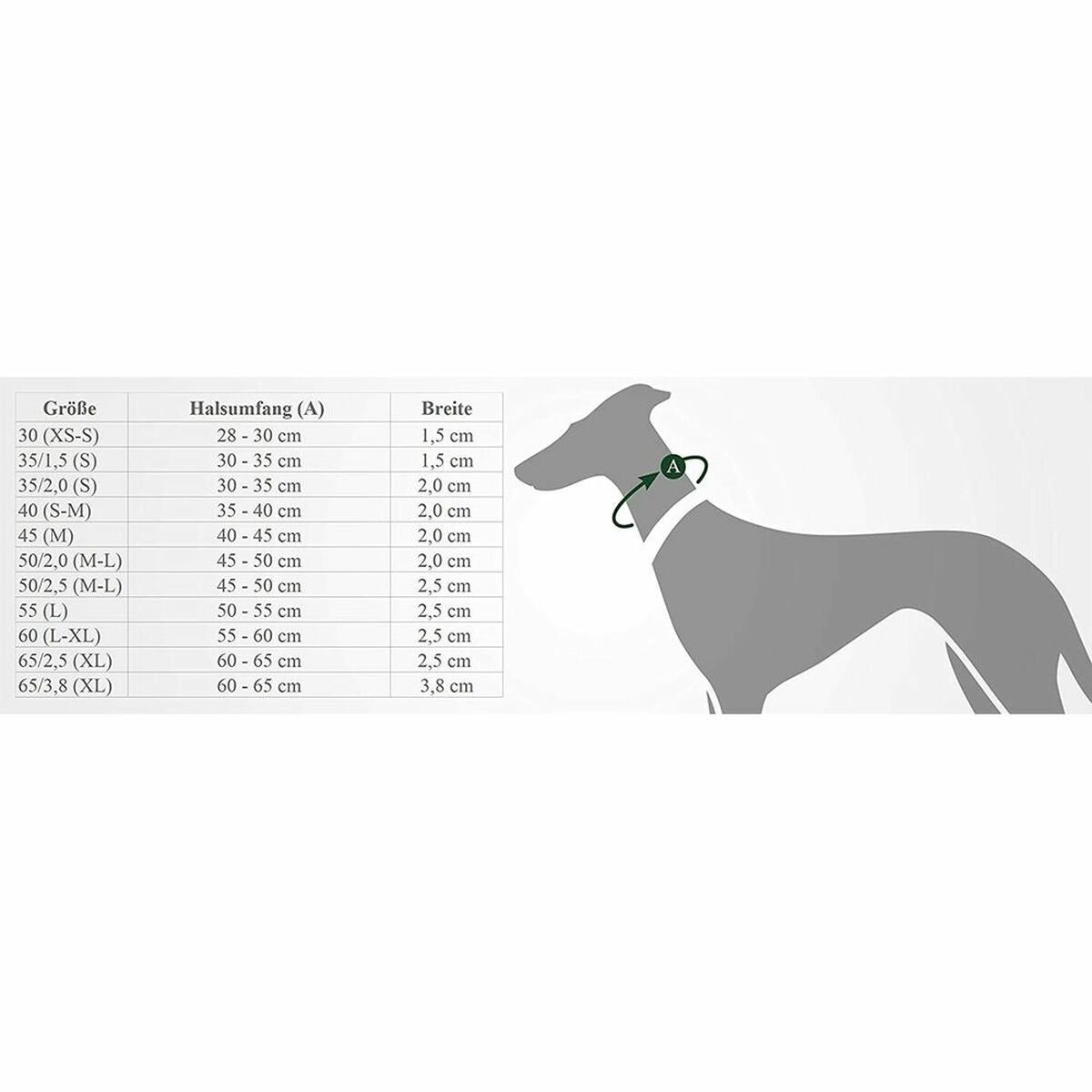 Collier pour Chien Hunter Noir