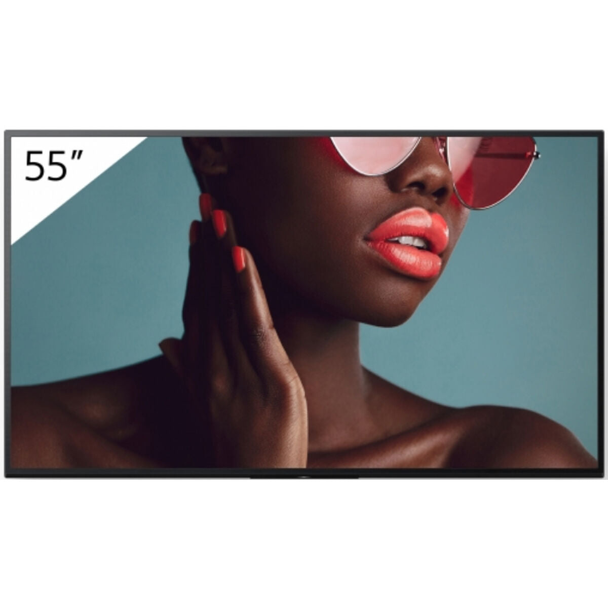 55" Pro BRAVIA LCD 700nit Haze