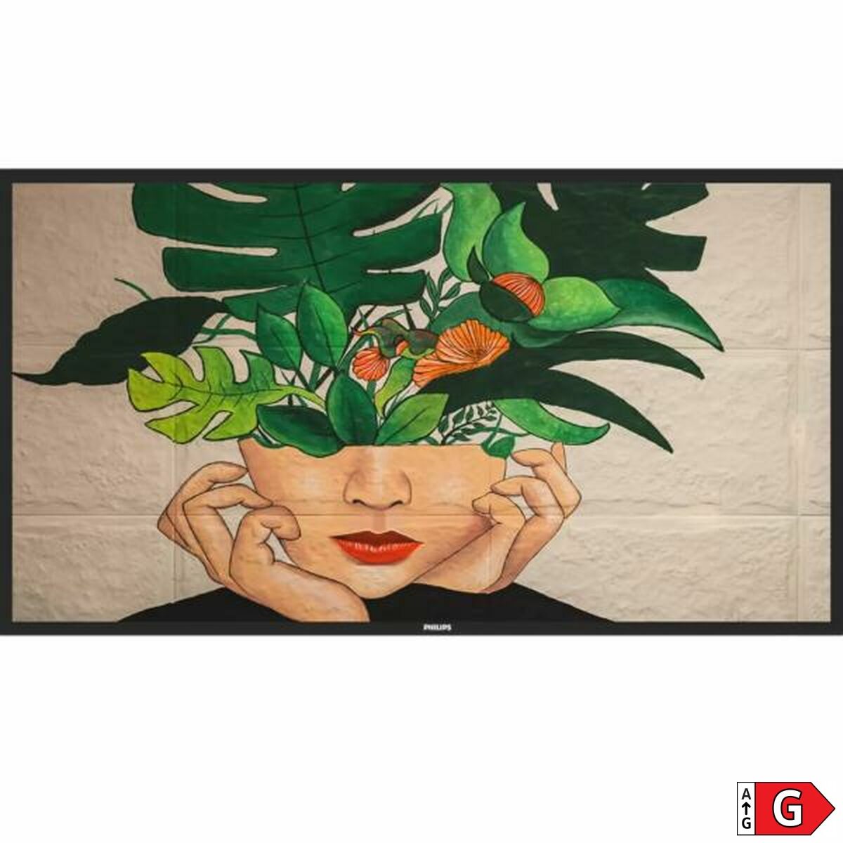 Philips 50 D-Line FHD 24/7