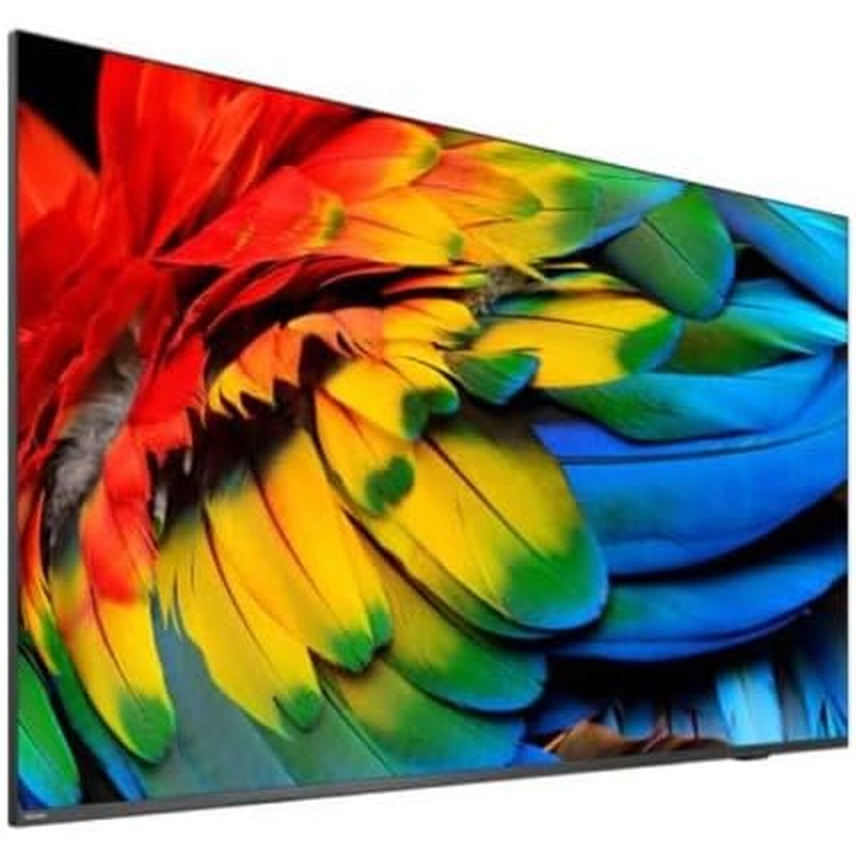 PHILIPS- Téléviseur professionnel 50" MediaSuite 50HFL6214U