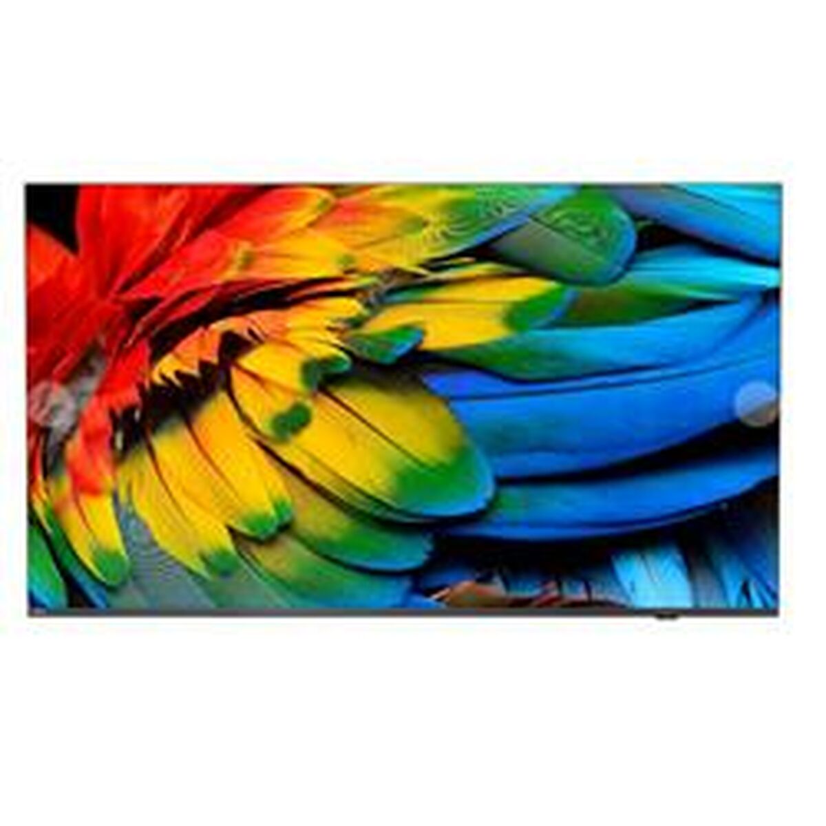 PHILIPS- Téléviseur professionnel 58" MediaSuite 58HFL6214U