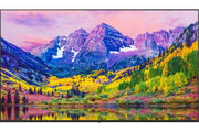 LG - Téléviseur professionnel 65" 65UK762H Nanocell