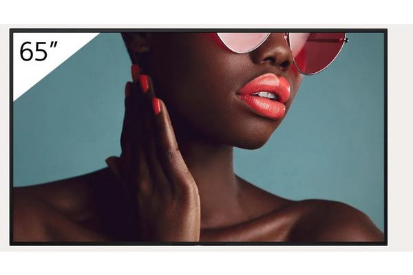 65" Pro BRAVIA LCD 700nit Haze