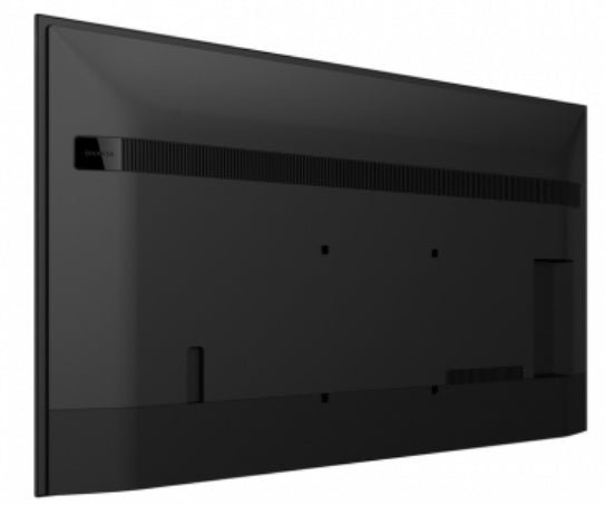 55" Pro BRAVIA LCD 700nit Haze