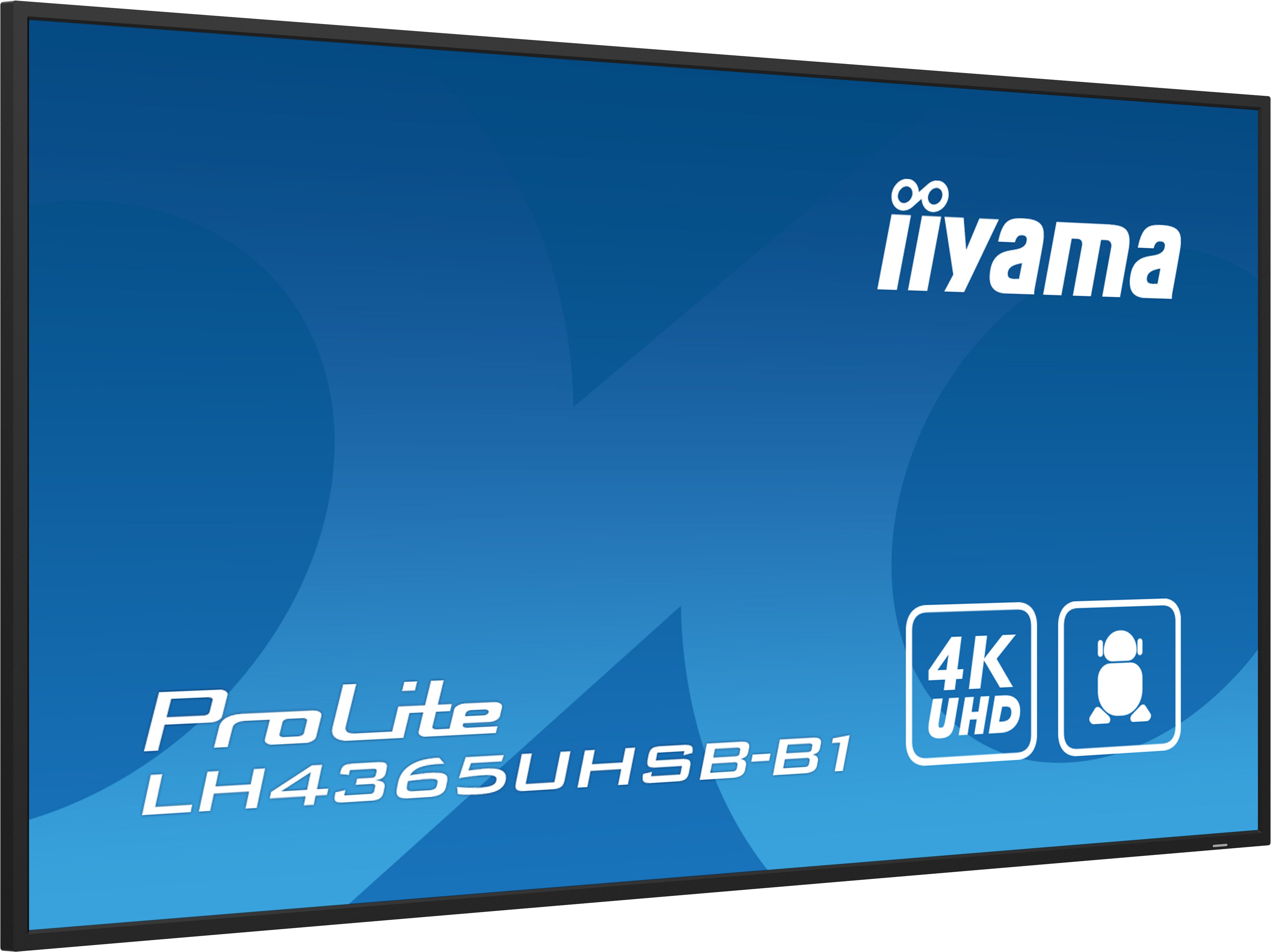 43" 3840x2160 UHD IPS Haze 1% 800c