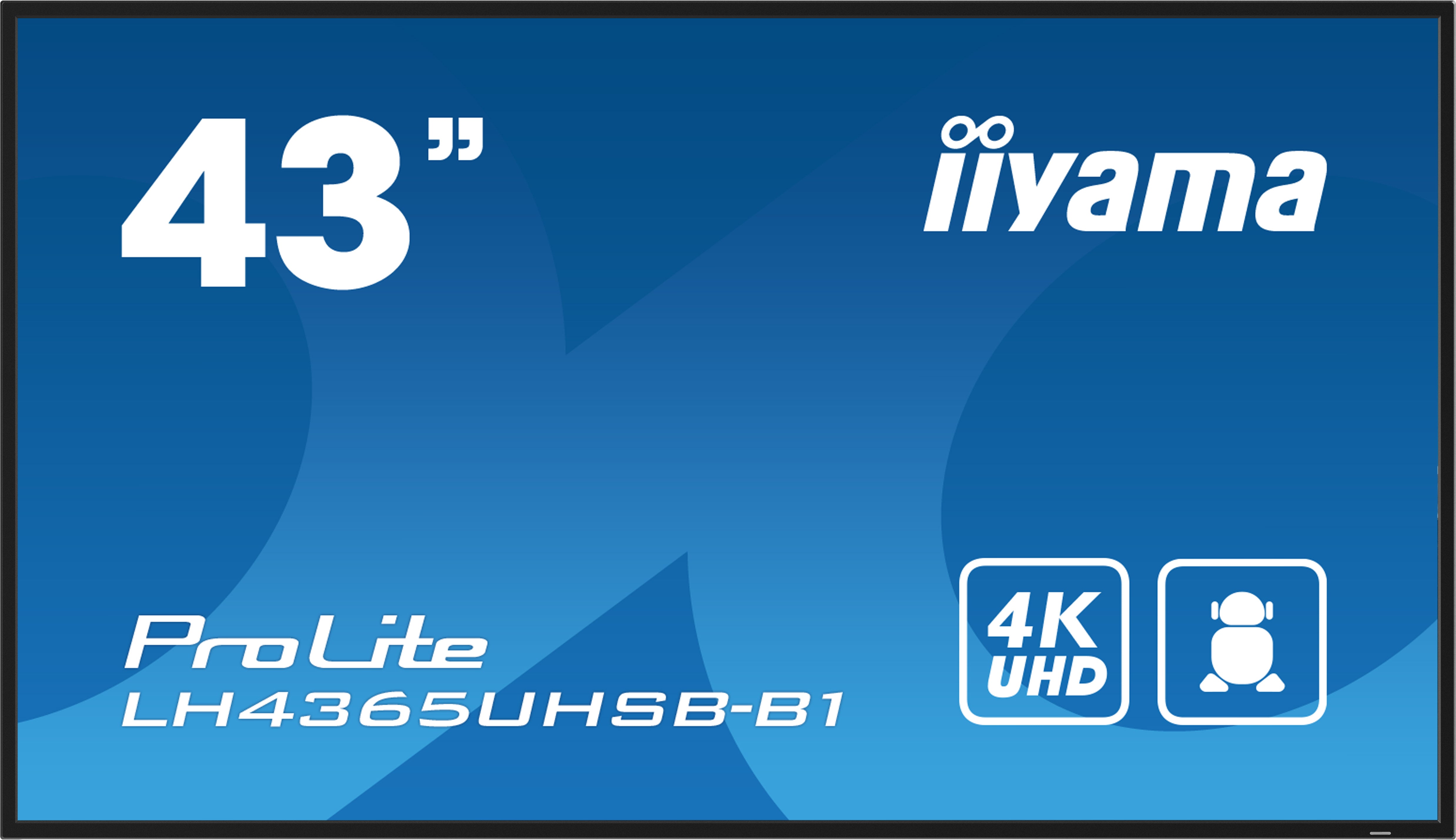 43" 3840x2160 UHD IPS Haze 1% 800c