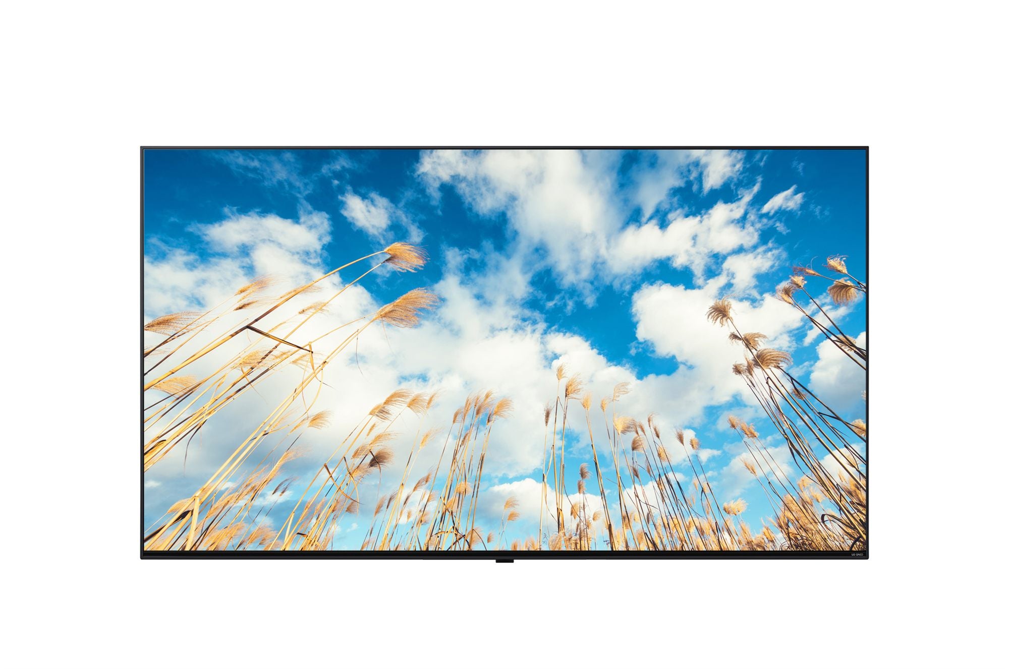 LG - Téléviseur Professionnel 65" 65UM767H UHD Smart TV