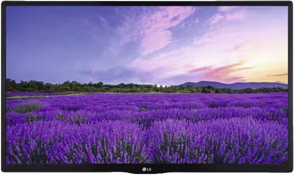 LG - Téléviseur Professionnel 24" 24LN662V HD Smart TV