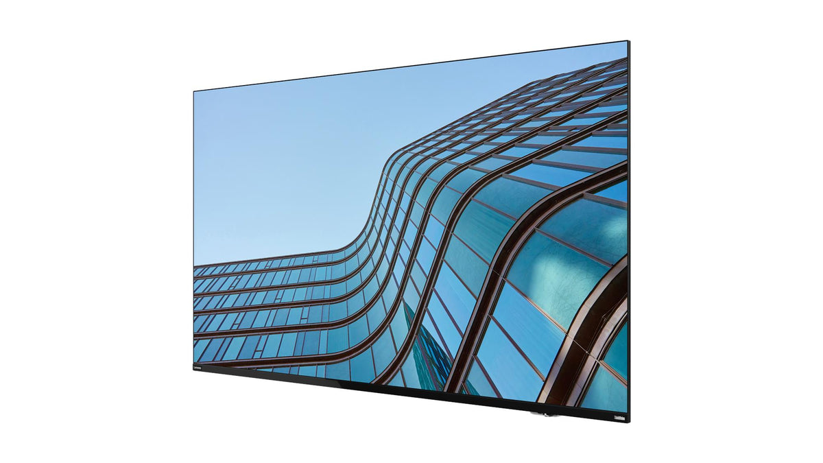 LENOVO ThinkVision E55 LFD 55p Diagonal Class 54.6p LED-backlit LCD display interactive 4K UHD 2160p 3840x2160 HDR Direct LED
