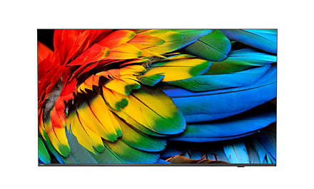 PHILIPS- Téléviseur MediaSuite 65" 65HFL6214U/12