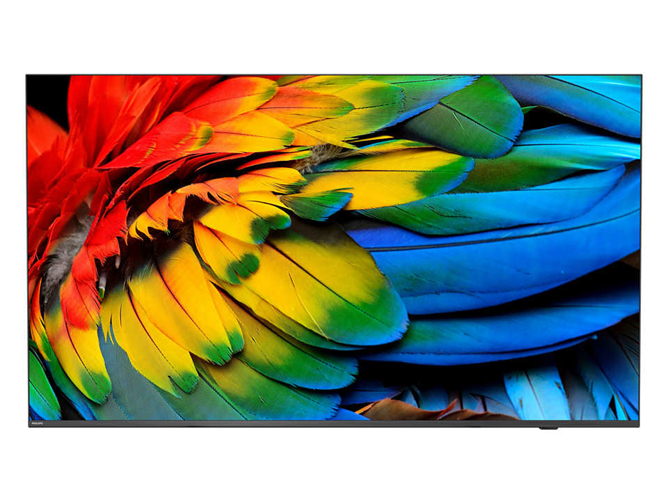 PHILIPS- Téléviseur MediaSuite 75" 75HFL6214U/12