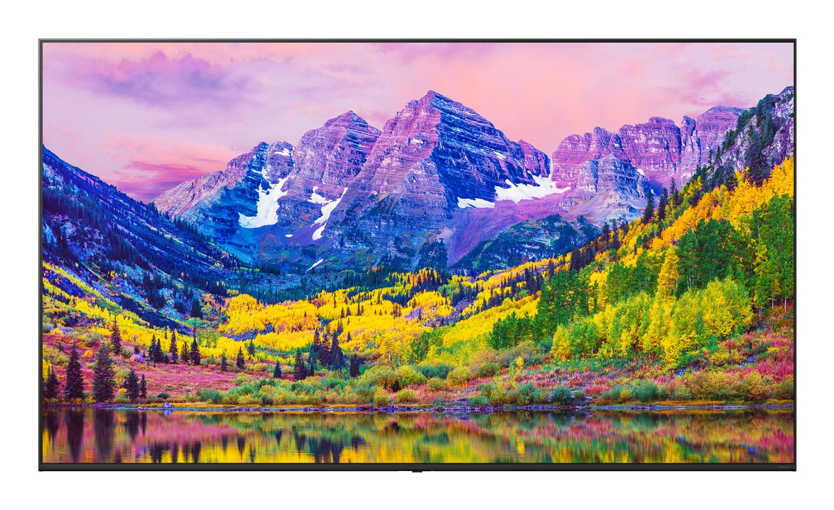 LG - Téléviseur professionnel 65" 65UK762H Nanocell