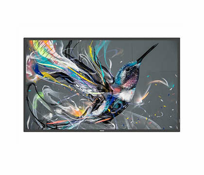 PHILIPS- Afficheur professionnel 65" 65BDL3650QE/00