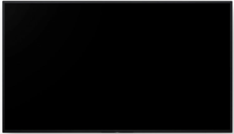 55" Pro BRAVIA LCD 700nit Haze