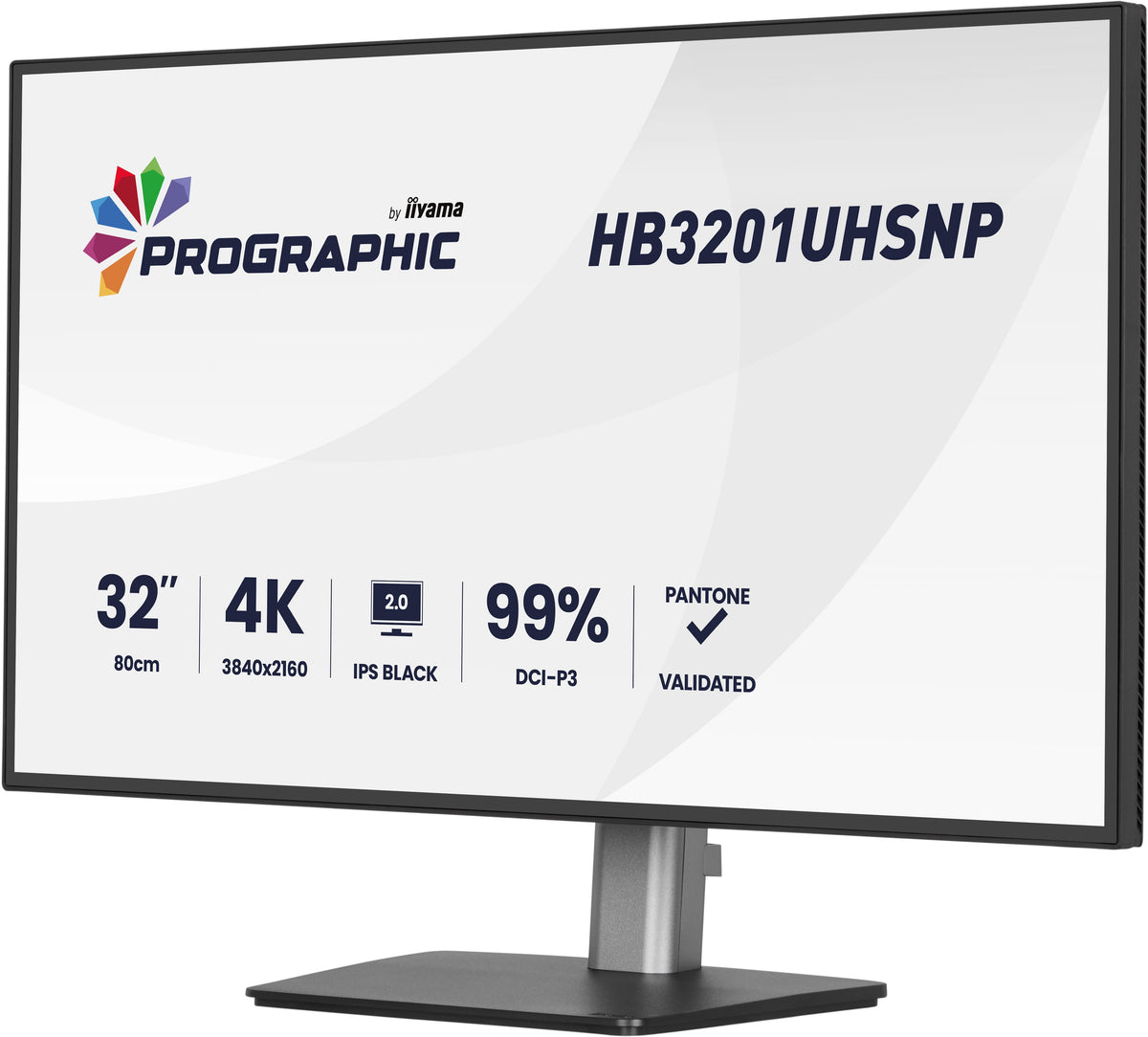 HB3201UHSNP-B1 32"W LCD Business 4K UHD
