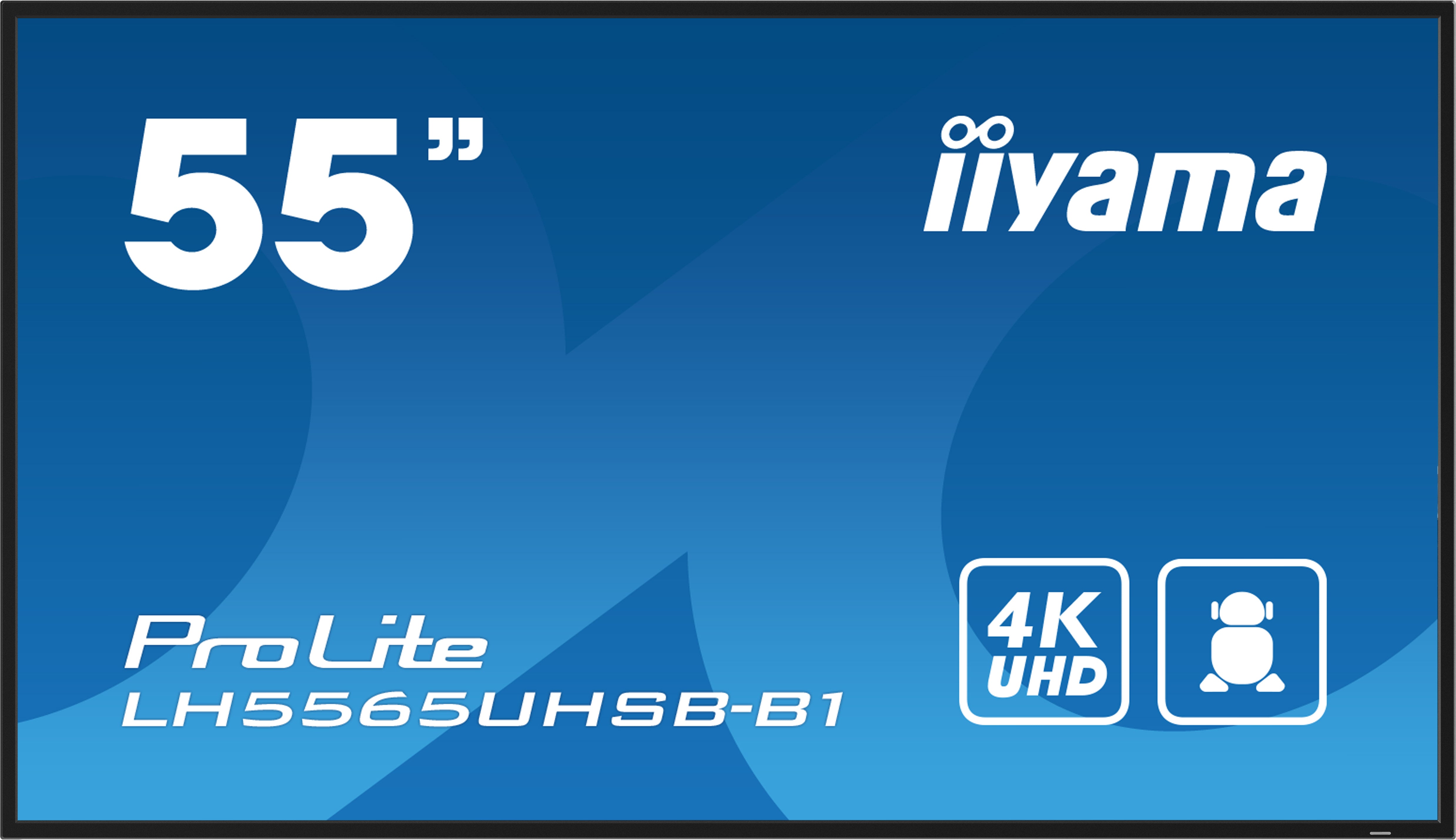 55" 3840x2160 UHD IPS Haze 1% 800c