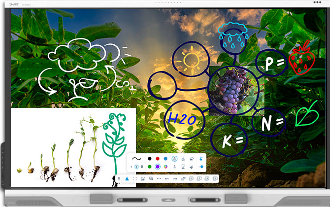 SMART Board RX065 65p 4K series Interactive Display with iQ