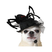déguisement pour chien Noir Chapeau