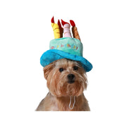 déguisement pour chien Bleu Chapeau Anniversaire