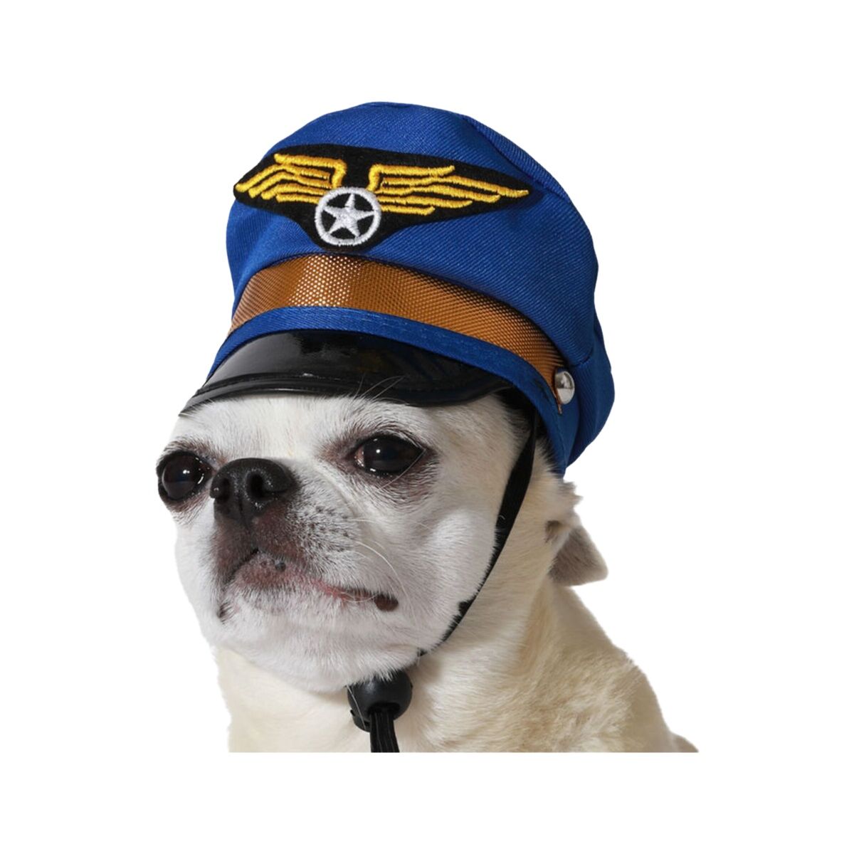 déguisement pour chien Bleu Chapeau