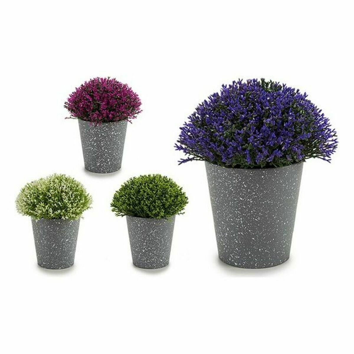 Plante décorative Ibergarden Plastique 14 x 15 x 14 cm 14 x 16 x 14 cm (12 Unités)