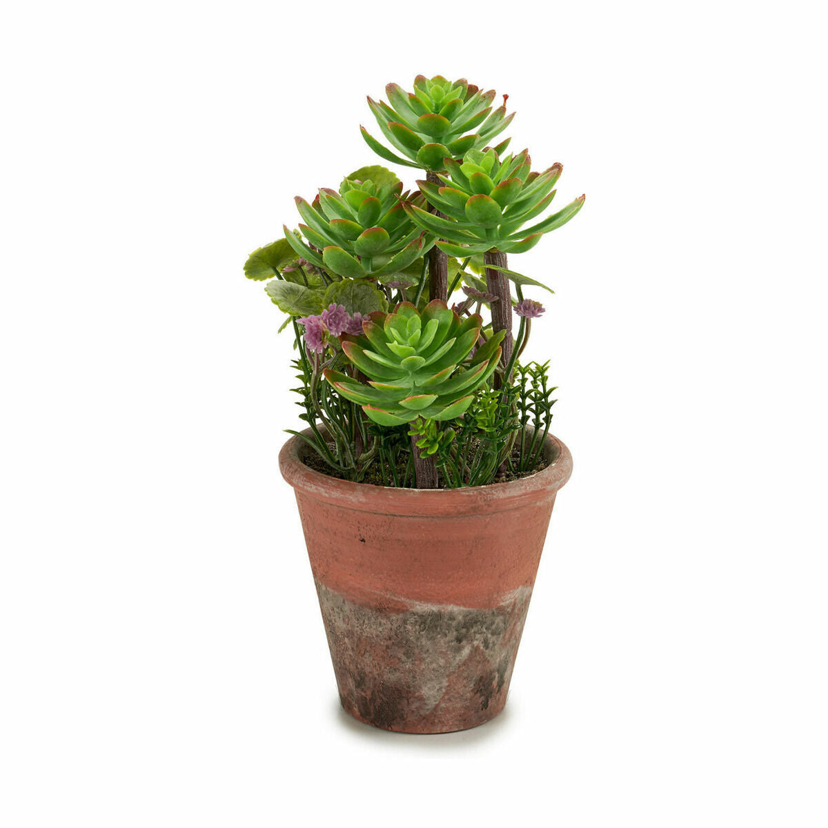 Plante décorative Ibergarden Plastique Succulent 16 x 23 x 16 cm (12 Unités)