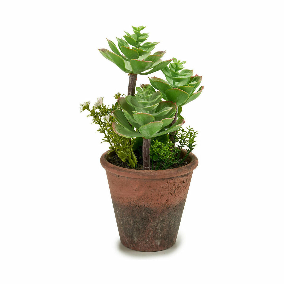 Plante décorative Ibergarden Plastique Succulent 16 x 23 x 16 cm (12 Unités)