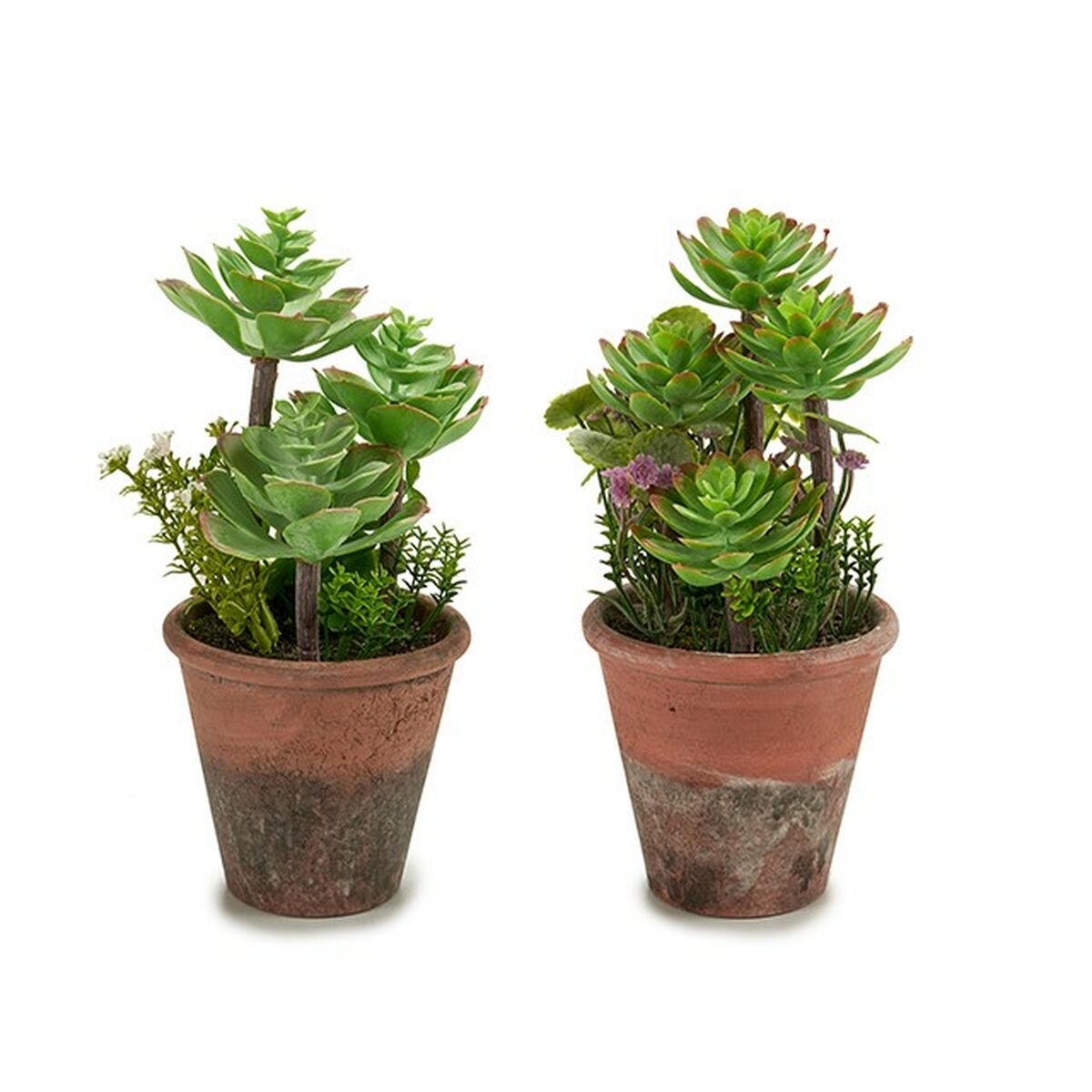 Plante décorative Ibergarden Plastique Succulent 16 x 23 x 16 cm (12 Unités)