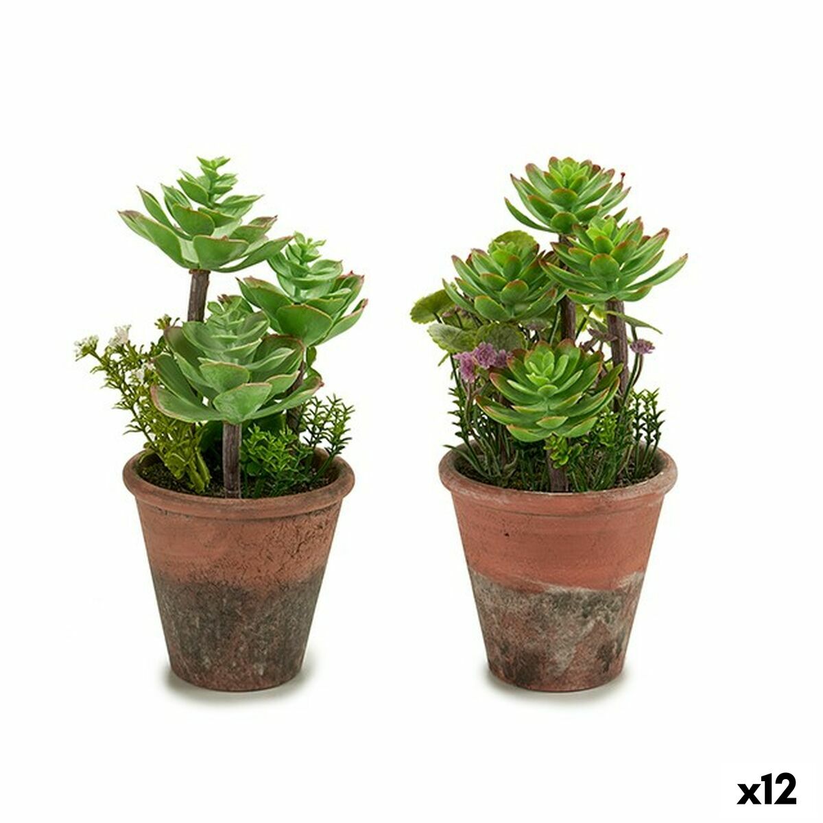 Plante décorative Ibergarden Plastique Succulent 16 x 23 x 16 cm (12 Unités)