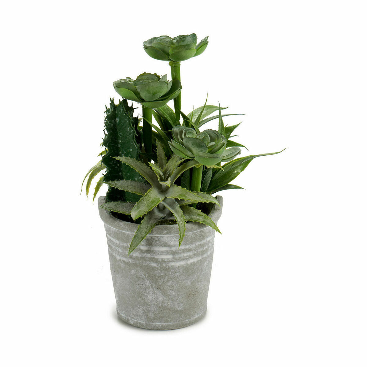 Plante décorative Ibergarden Plastique Ciment 15 x 24 x 15 cm (12 Unités)