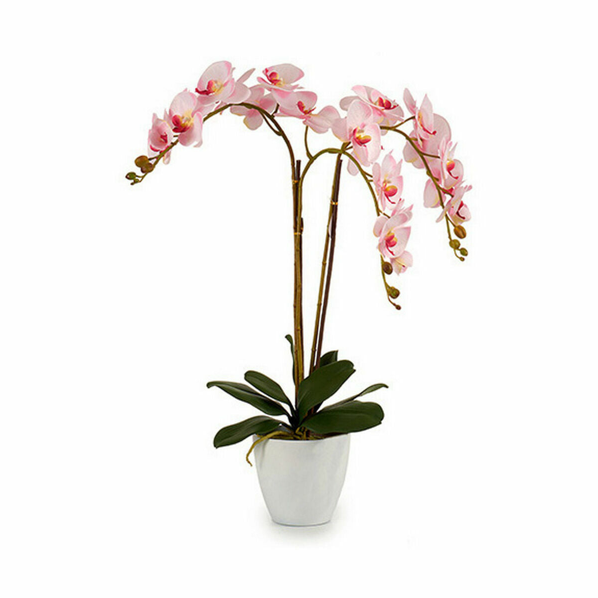 Plante décorative Ibergarden Plastique Orchidée 40 x 77 x 35 cm 40 x 78 x 35 cm 40 x 78 x 44 cm (2 Unités)