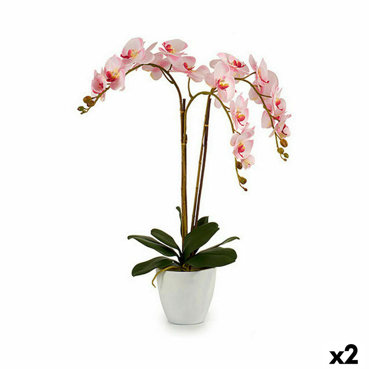 Plante décorative Ibergarden Plastique Orchidée 40 x 77 x 35 cm 40 x 78 x 35 cm 40 x 78 x 44 cm (2 Unités)