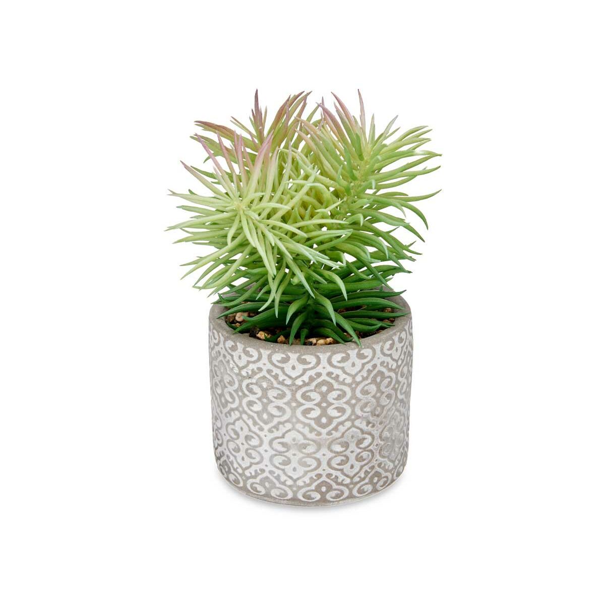 Plante décorative Ibergarden Bois Polyéthylène Plastique Ciment Succulent 12 x 22 x 12 cm (8 Unités)