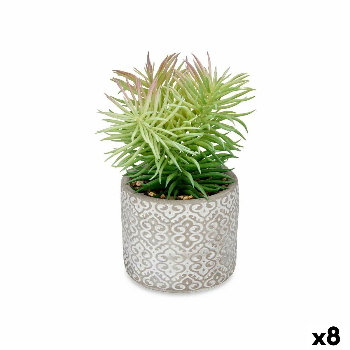 Plante décorative Ibergarden Bois Polyéthylène Plastique Ciment Succulent 12 x 22 x 12 cm (8 Unités)