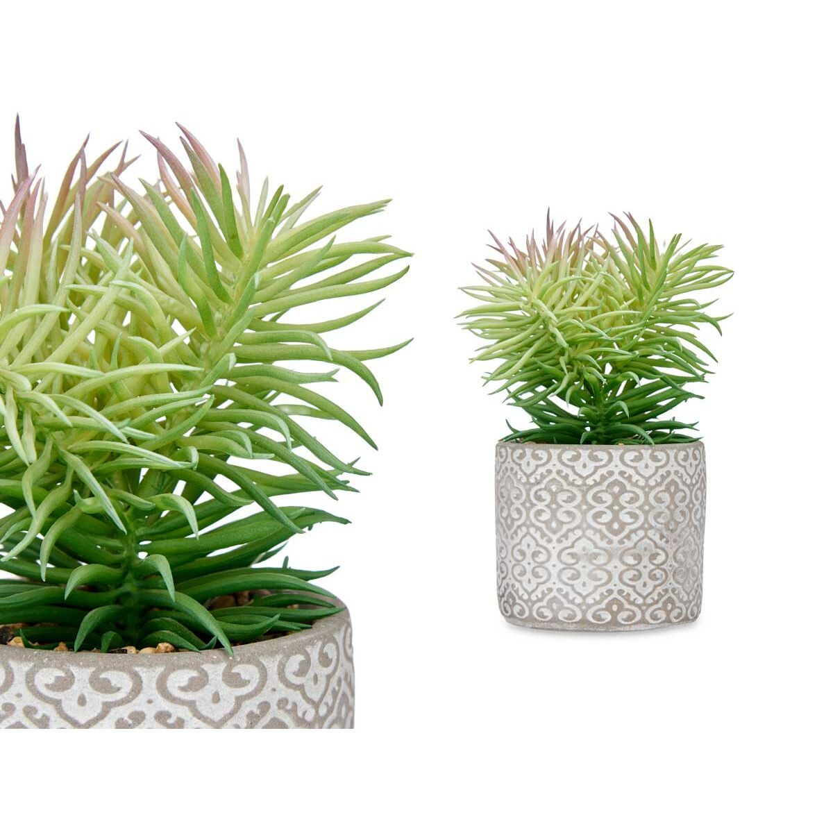 Plante décorative Ibergarden Bois Polyéthylène Plastique Ciment Succulent 12 x 22 x 12 cm (8 Unités)