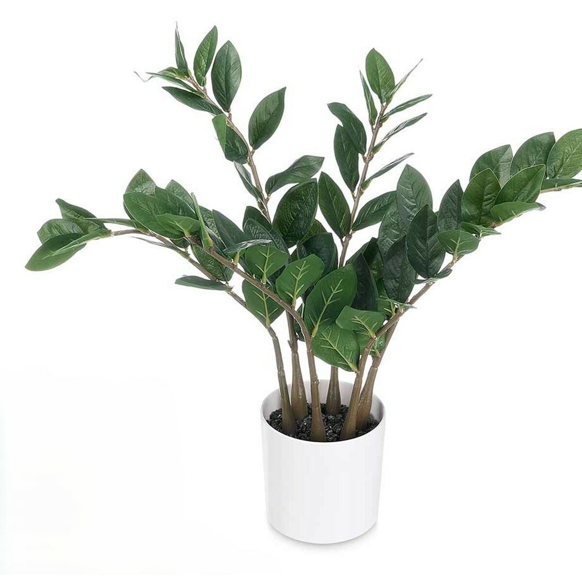 Plante décorative Ibergarden ZAMIOCULCA Polyéthylène Mélamine 53 x 55 x 53 cm (6 Unités)