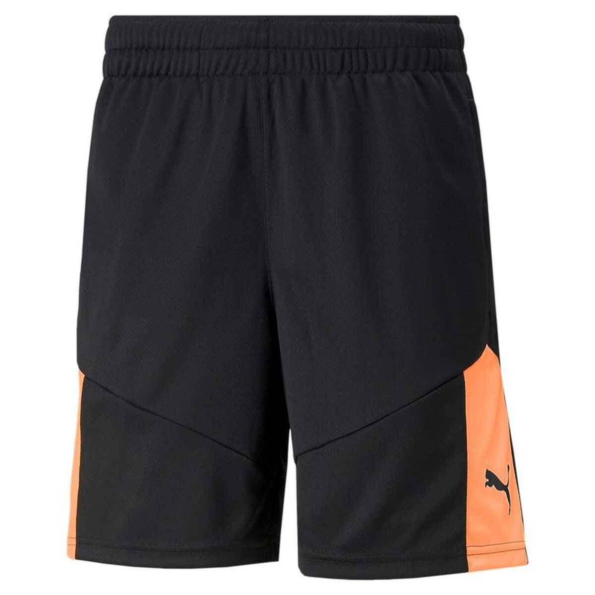 Short de Sport Puma Individual Final Noir