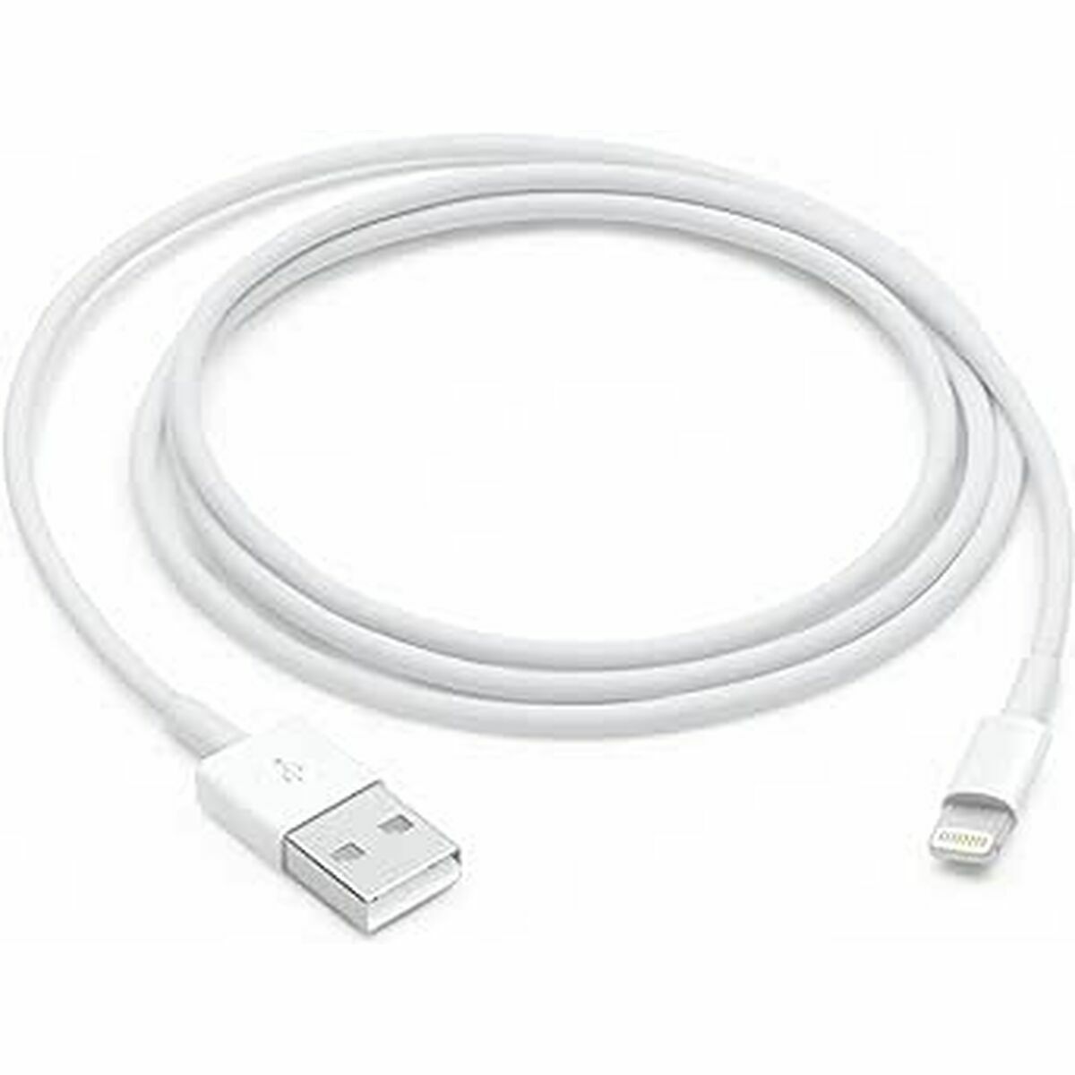 Câble USB vers Lightning Apple Blanc 1 m