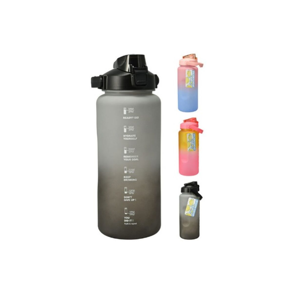 Bouteille d'eau Lifetime 2 L Plastique