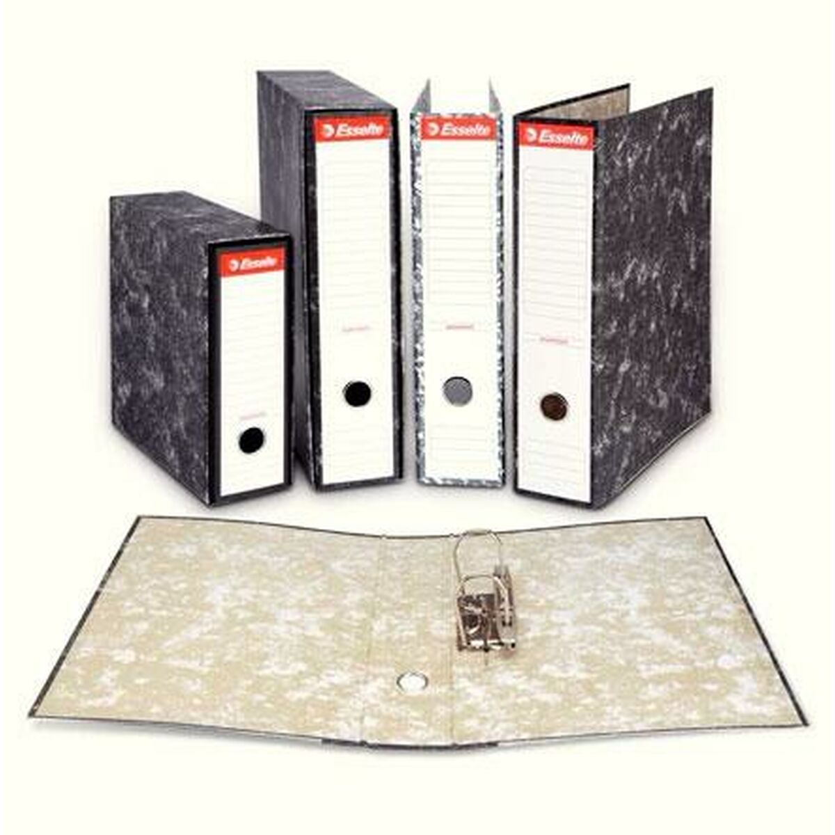 classeur à levier Esselte Gris Feuille (20 Unités)