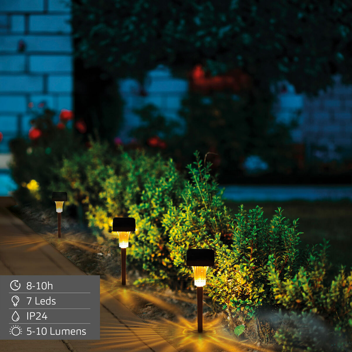 Lampe solaire Aktive 6 x 33 x 6 cm (6 Unités)