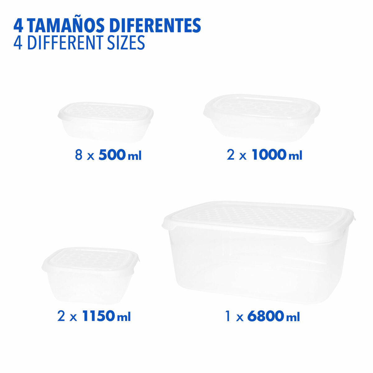 Boîte à lunch Max Home polypropylène (6 Unités)