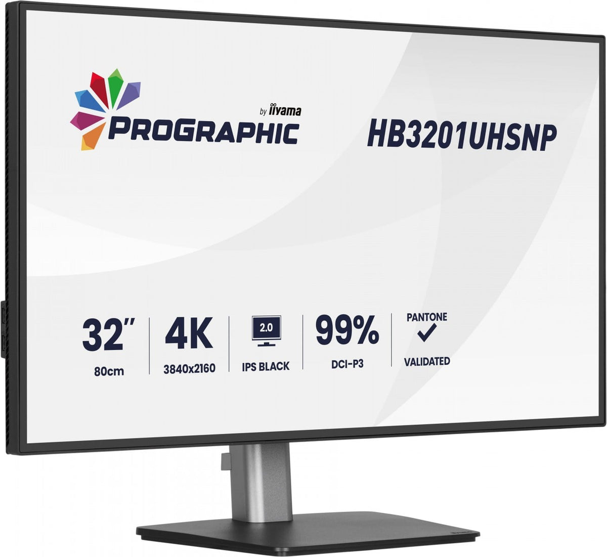 HB3201UHSNP-B1 32"W LCD Business 4K UHD
