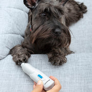 Lime à Griffes Électrique pour Animaux de Compagnie PediPet InnovaGoods